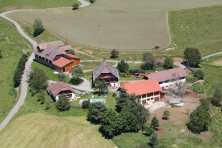 Bnagele in Startseite